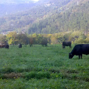 Séjour à la ferme Agriturismo Biobio